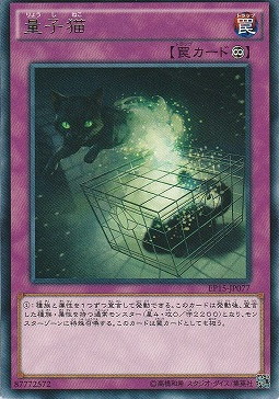 【 R 】 EP15-JP077 　《量子猫》 Yb09-09-10